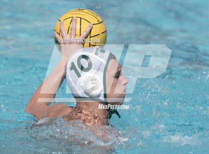 Thumbnail 2 in Poly @ Esperanza photogallery.