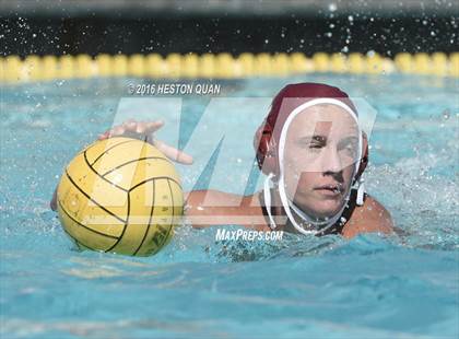 Thumbnail 2 in Poly @ Esperanza photogallery.