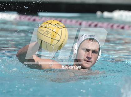 Thumbnail 3 in Poly @ Esperanza photogallery.