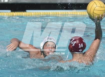 Thumbnail 1 in Poly @ Esperanza photogallery.
