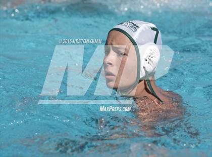 Thumbnail 2 in Poly @ Esperanza photogallery.