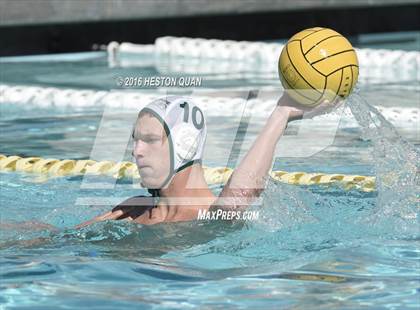 Thumbnail 3 in Poly @ Esperanza photogallery.