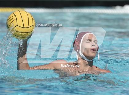 Thumbnail 2 in Poly @ Esperanza photogallery.