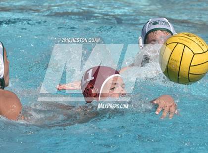 Thumbnail 3 in Poly @ Esperanza photogallery.