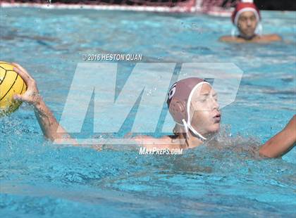 Thumbnail 2 in Poly @ Esperanza photogallery.
