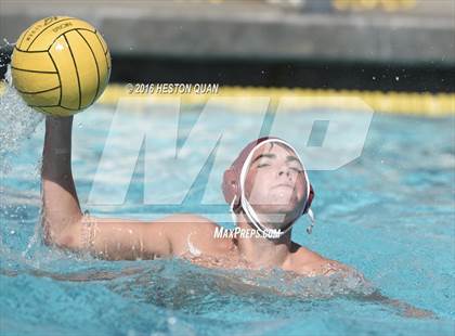 Thumbnail 3 in Poly @ Esperanza photogallery.