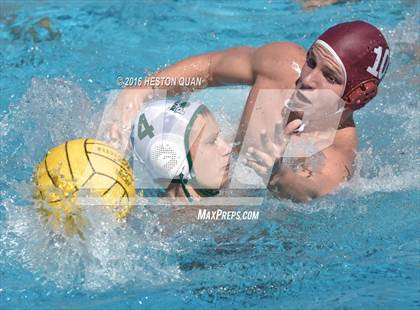 Thumbnail 3 in Poly @ Esperanza photogallery.