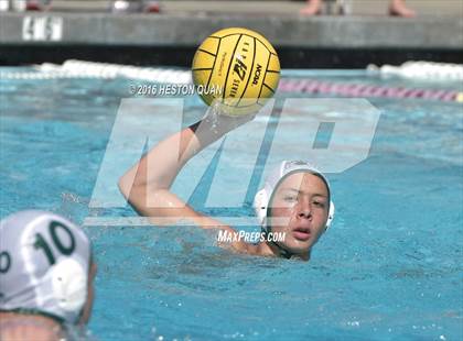 Thumbnail 2 in Poly @ Esperanza photogallery.