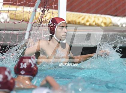 Thumbnail 2 in Poly @ Esperanza photogallery.