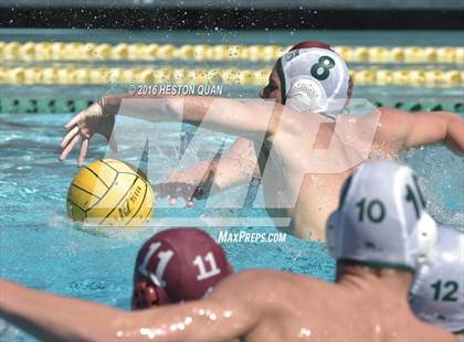 Thumbnail 2 in Poly @ Esperanza photogallery.