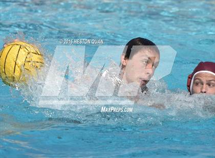 Thumbnail 3 in Poly @ Esperanza photogallery.