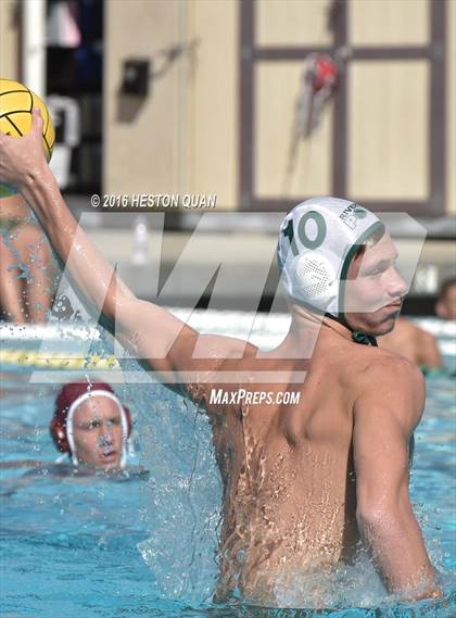Thumbnail 3 in Poly @ Esperanza photogallery.