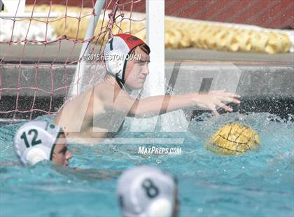 Thumbnail 2 in Poly @ Esperanza photogallery.