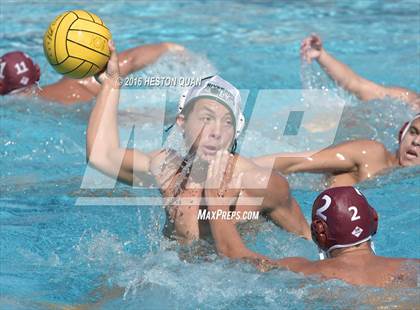 Thumbnail 2 in Poly @ Esperanza photogallery.