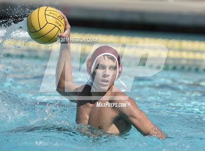 Thumbnail 1 in Poly @ Esperanza photogallery.