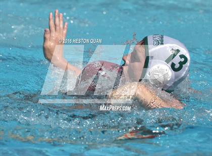 Thumbnail 3 in Poly @ Esperanza photogallery.
