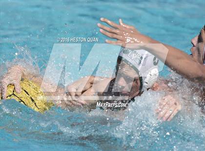 Thumbnail 1 in Poly @ Esperanza photogallery.