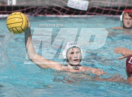 Thumbnail 2 in Poly @ Esperanza photogallery.