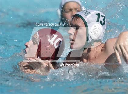 Thumbnail 3 in Poly @ Esperanza photogallery.