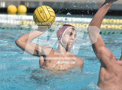 Thumbnail 1 in Poly @ Esperanza photogallery.