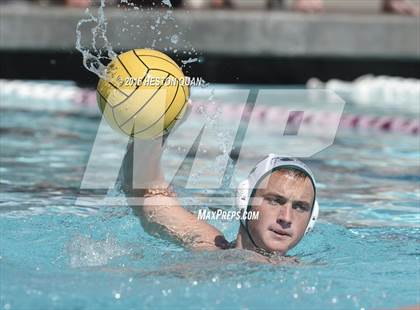 Thumbnail 2 in Poly @ Esperanza photogallery.