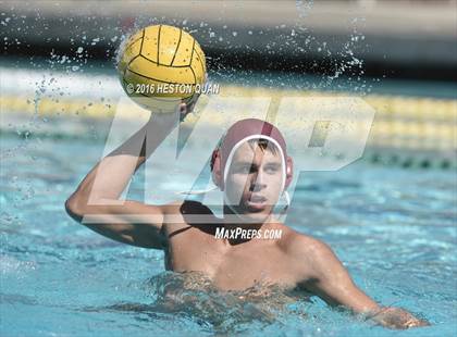 Thumbnail 2 in Poly @ Esperanza photogallery.