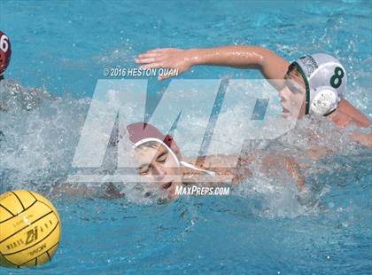 Thumbnail 2 in Poly @ Esperanza photogallery.