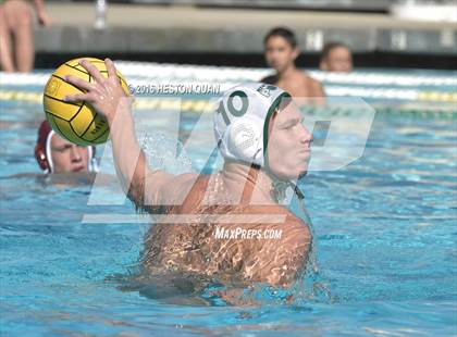 Thumbnail 2 in Poly @ Esperanza photogallery.