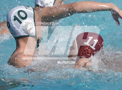 Thumbnail 3 in Poly @ Esperanza photogallery.