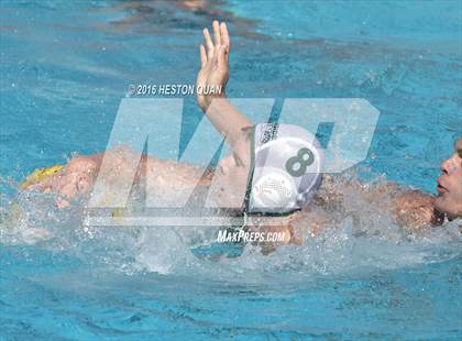 Thumbnail 1 in Poly @ Esperanza photogallery.