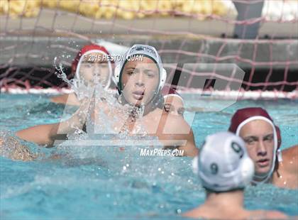 Thumbnail 1 in Poly @ Esperanza photogallery.