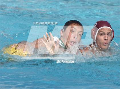 Thumbnail 2 in Poly @ Esperanza photogallery.
