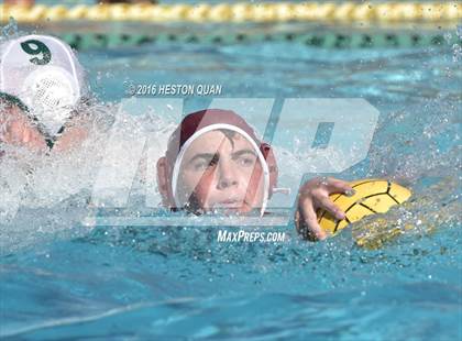 Thumbnail 2 in Poly @ Esperanza photogallery.