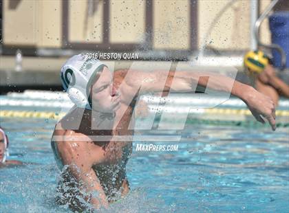 Thumbnail 2 in Poly @ Esperanza photogallery.