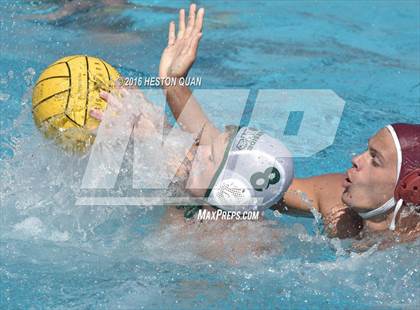 Thumbnail 3 in Poly @ Esperanza photogallery.