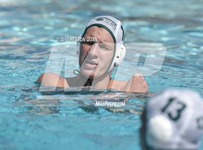 Thumbnail 2 in Poly @ Esperanza photogallery.