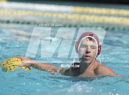 Thumbnail 3 in Poly @ Esperanza photogallery.