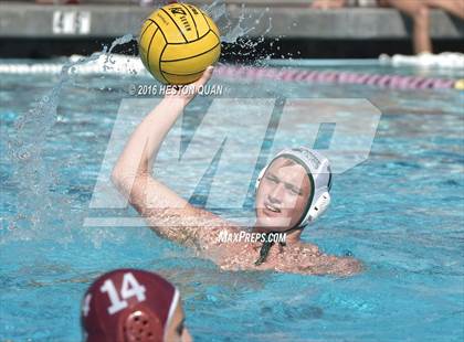 Thumbnail 2 in Poly @ Esperanza photogallery.