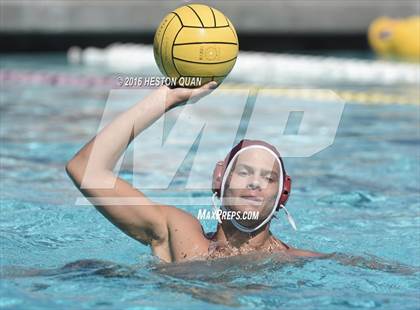 Thumbnail 3 in Poly @ Esperanza photogallery.