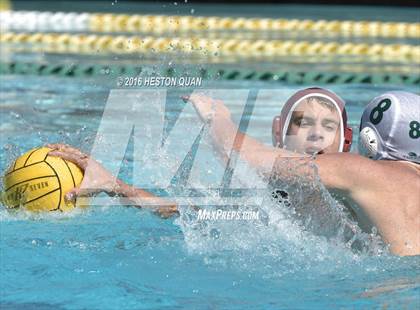 Thumbnail 3 in Poly @ Esperanza photogallery.