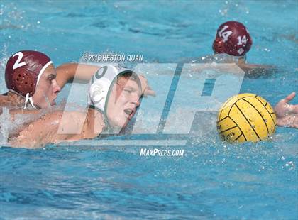 Thumbnail 3 in Poly @ Esperanza photogallery.
