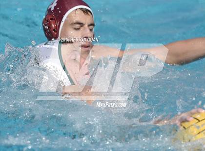 Thumbnail 1 in Poly @ Esperanza photogallery.