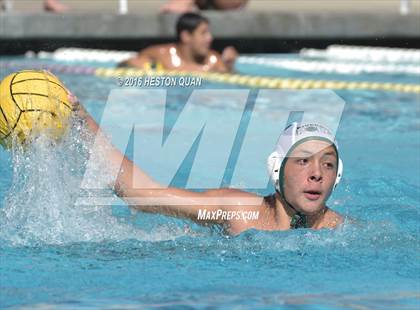 Thumbnail 2 in Poly @ Esperanza photogallery.