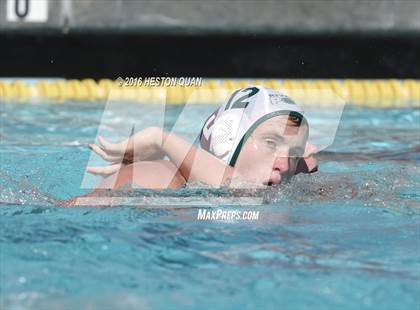 Thumbnail 3 in Poly @ Esperanza photogallery.
