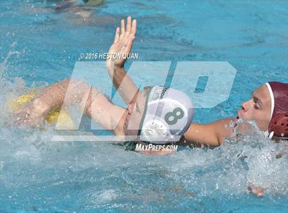 Thumbnail 2 in Poly @ Esperanza photogallery.