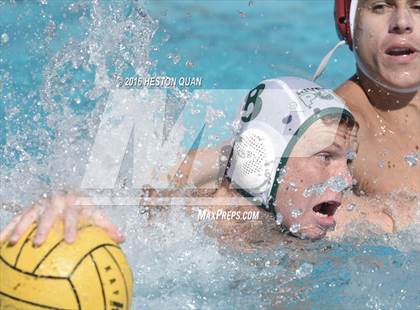 Thumbnail 3 in Poly @ Esperanza photogallery.