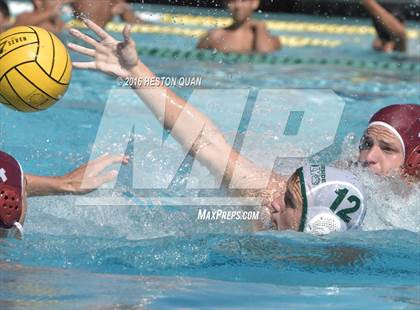 Thumbnail 1 in Poly @ Esperanza photogallery.