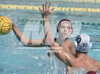 Thumbnail 2 in Poly @ Esperanza photogallery.