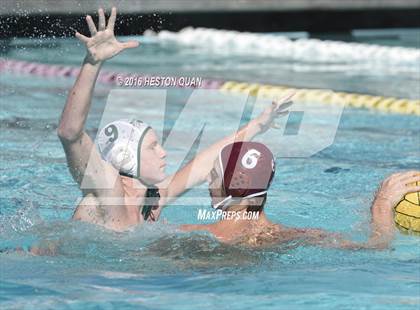 Thumbnail 3 in Poly @ Esperanza photogallery.