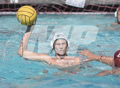 Thumbnail 3 in Poly @ Esperanza photogallery.